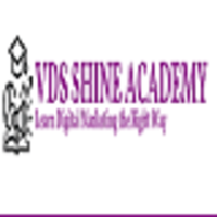 vdsshineacademy1