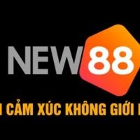 linknew88love
