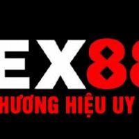 ex88no1comlink1