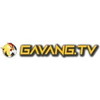 gavangtvwork1
