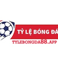 Tylebongda88ap