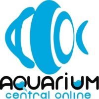 aquariumfishonline2