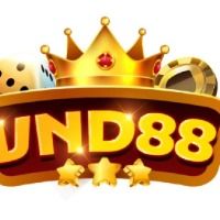 appvnd88com