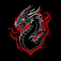 naga-5000-api