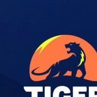 tigersolar