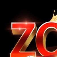 zowinappnet