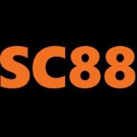 sc88feedback4