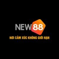 linnew881com