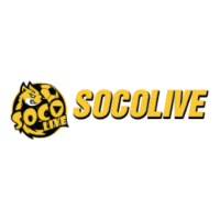 socolivestudio02