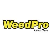 weedprolawncare