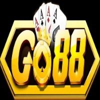 mattwilsonvn1