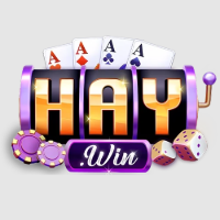 haywincocom2