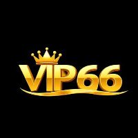 vip66coach