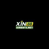 xin88t5netvn