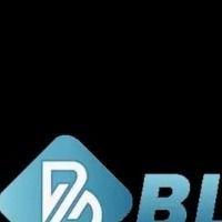 bl55511com