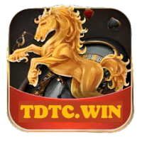 tdtcwin1