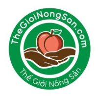 snongsanvn