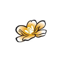MagnoliaHawaii