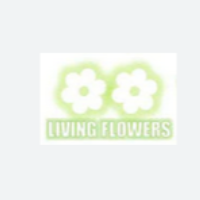 livingflowe