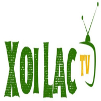 xoilaclink