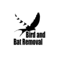 birdandbatremoval