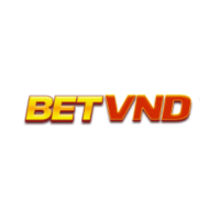 betvndpro