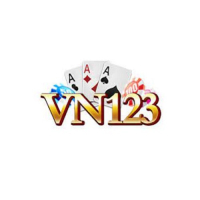 vn123link