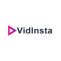 vidinsta