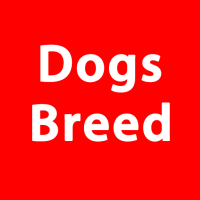 dogsbreedorg